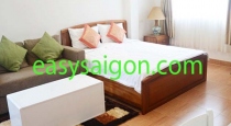 Serviced studio for rent on Nguyen Trai St, District 1