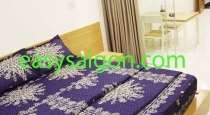 Serviced apartment for rent on Le Thanh Ton St, District 1